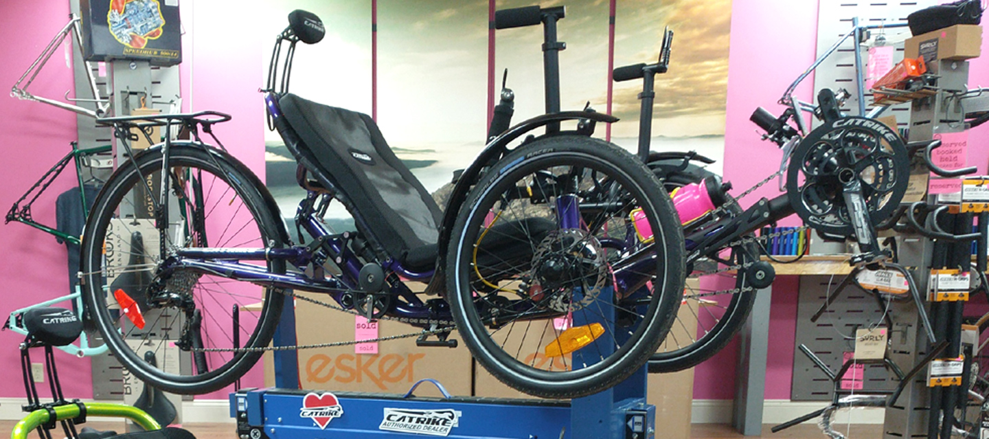 Catrike Dumont Purple